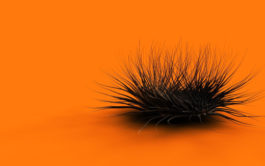504117 (a): :1680x1050